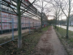 Beidseitig baumgesäumter Weg entlang eines eingerüsteten Neubaus im Winter