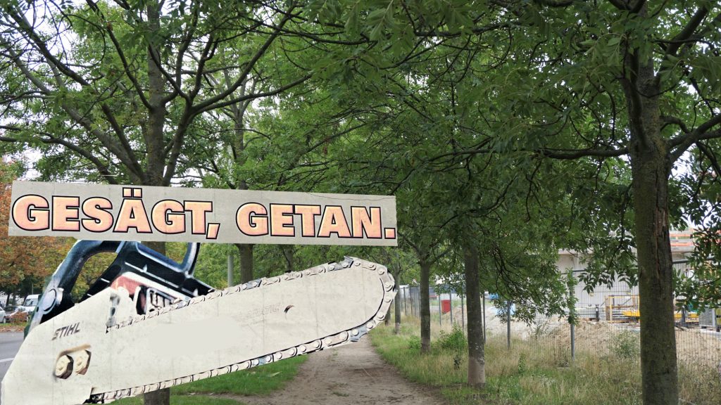 Gesägt - Getan. An die Eschenallee wird die Säge angelegt